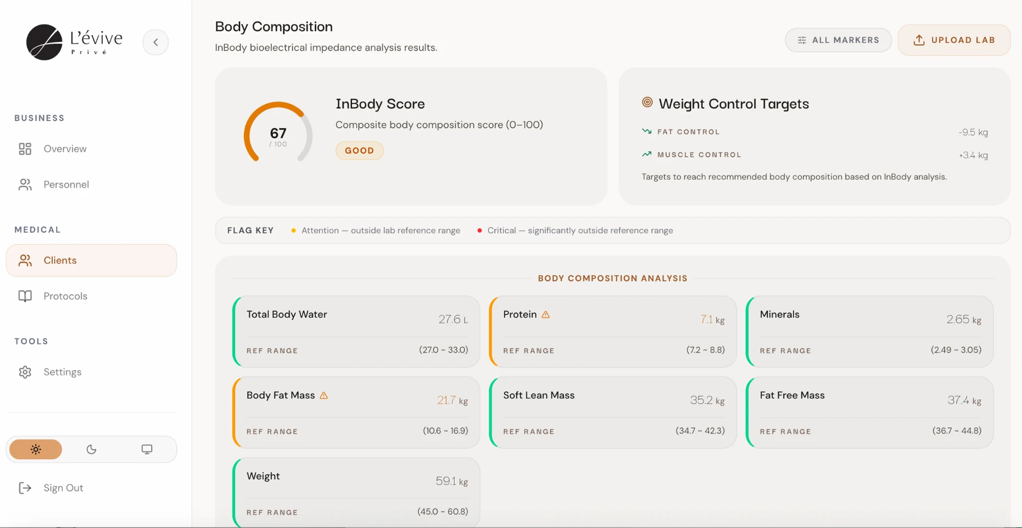 Body composition dashboard